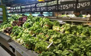市场营销专业自我鉴定精选5篇