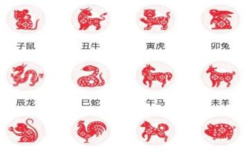 十二生肖画教案通用7篇