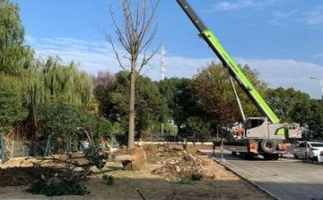 2024年施工员年终总结模板5篇