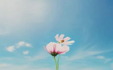 我四十年作文优质5篇