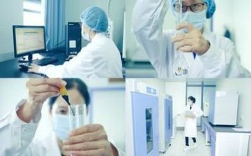 实验工作报告6篇