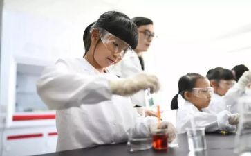 剖实验室心得体会精选5篇