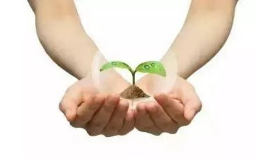 心灵的守护作文5篇