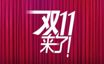 客服双11工作总结最新7篇