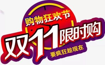 双11市场调研报告模板5篇
