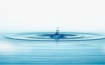 水果蹲小班教案8篇