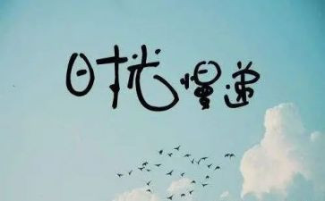 抒情类作文800字精选5篇