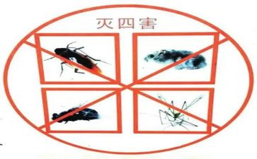 社区防四害工作总结7篇