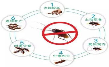社区2024年除四害工作计划6篇
