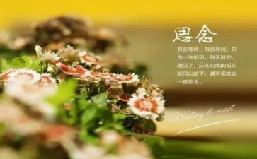 我思念的他作文优质6篇