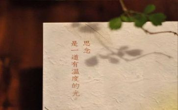 我思念的他作文精选7篇