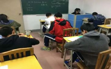 思修调查报告5篇