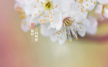 四月工作计划7篇