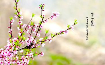 小小班四月总结8篇