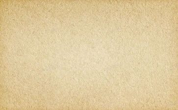 最新素材语文作文8篇