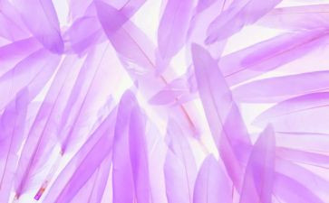 小学生素材作文8篇