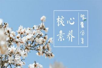 职业素养的自我总结8篇