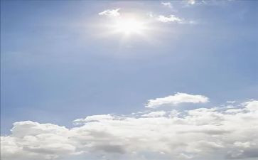 幼儿园小班种太阳教案7篇