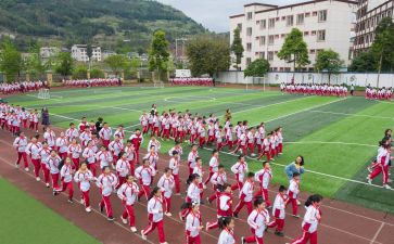体育活动幼儿园教案模板8篇