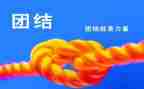 团结感悟心得5篇