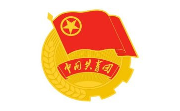 2024团史心得体会200字优秀7篇