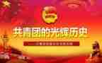 2024团史心得体会200字优质5篇