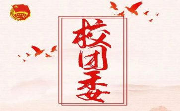 公司团委工作计划5篇