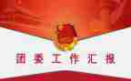 团委工作述职报告范文8篇