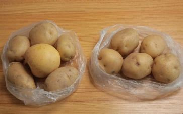 种土豆作文300字8篇
