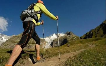 语文外出培训心得体会6篇