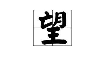我新年愿望作文优秀7篇