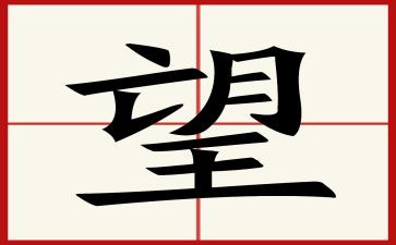 我希望的新年作文优质6篇