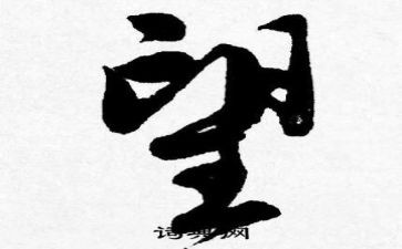 我希望听作文最新5篇