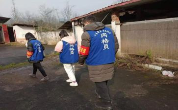 镇网格化服务管理工作总结7篇