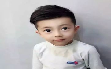 猫王子读后感8篇