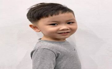 猫王子读后感参考7篇