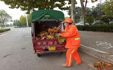 2024年环卫工作心得6篇