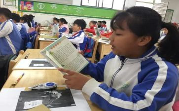 语文课狼心得体会7篇