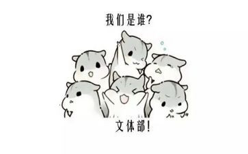 单位文体活动总结8篇