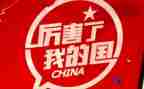 我的国庆作文800字5篇