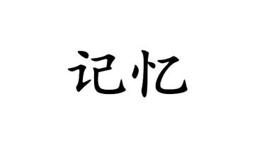 《记忆》读后感5篇