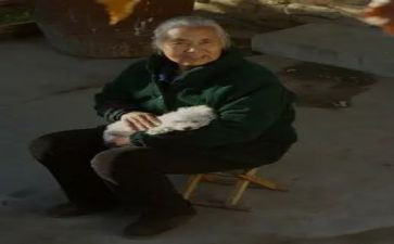 我的奶奶600字作文7篇