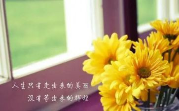 《我的新发现》作文8篇