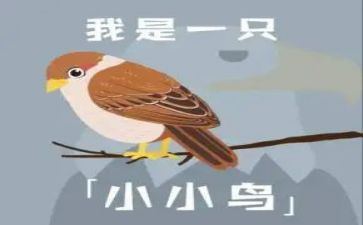 树是小鸟的家教案7篇