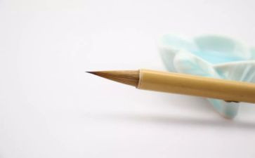 我想变成谁作文优秀5篇
