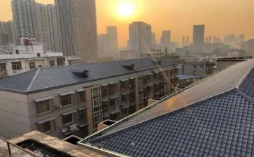 我想握住你的手的作文500字5篇