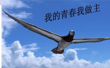 我未来我做主的作文5篇