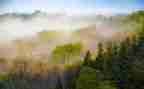 写晨雾的作文400字8篇
