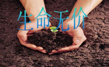 友情是无价的作文参考5篇
