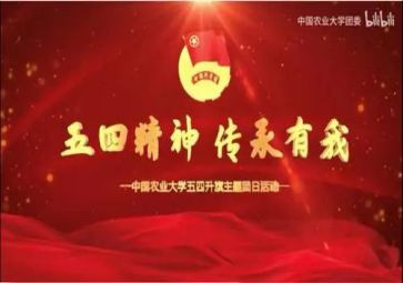 庆五四活动方案通用6篇